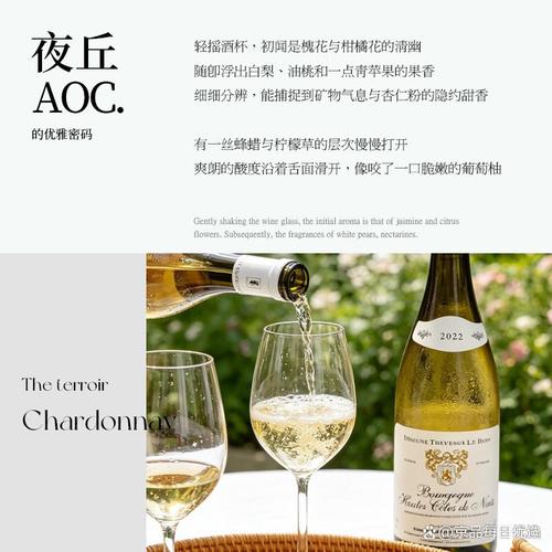 白葡萄酒哪个品牌口感好?